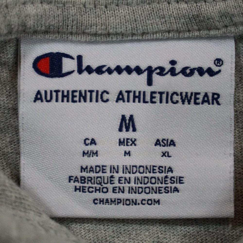 Champion Men's Fleece PowerBlend Logo Pullover Hoodie Grey Medium - Picture 6 of 6